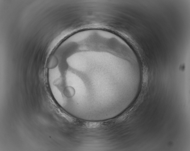 X0000114611278200912010929