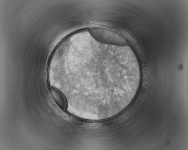 X0000114611280200912010929