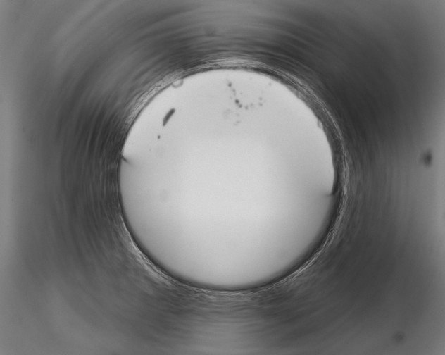 X0000114611281200912010929