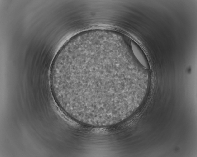 X0000114611283200912010928