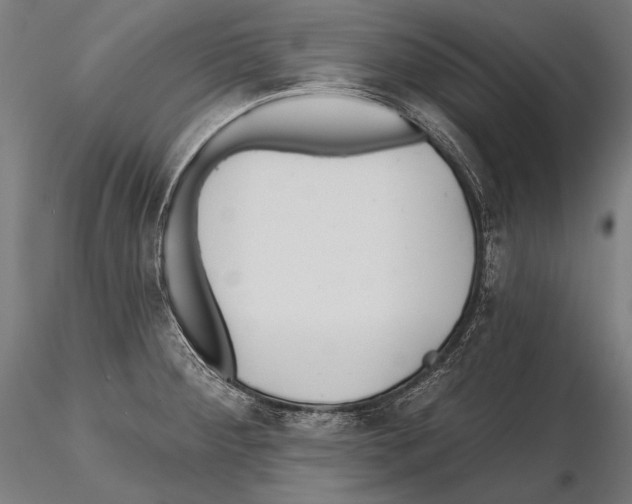 X0000114611284200912010928