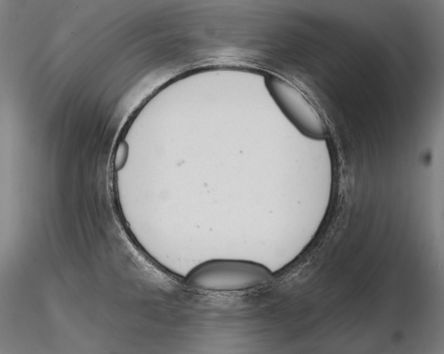 X0000114611285200912010928