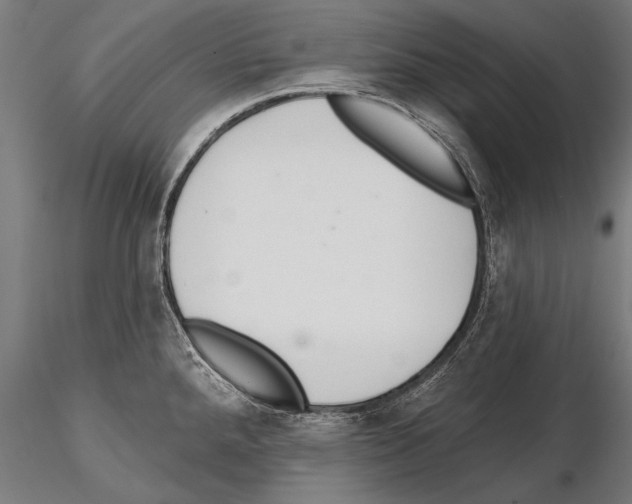 X0000114611288200912010928