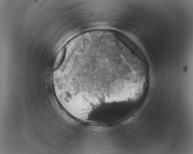 X0000114611289200912010928