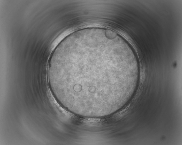 X0000114611290200912010928