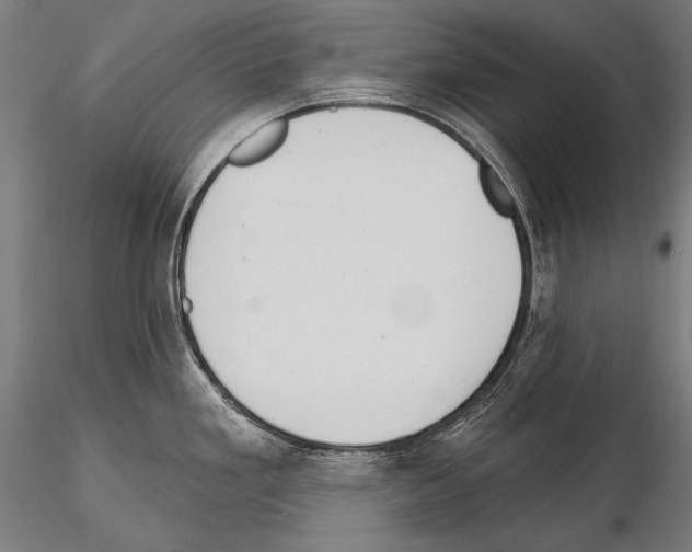 X0000114611293200912010928