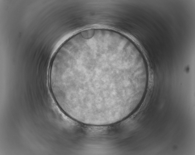 X0000114611294200912010928