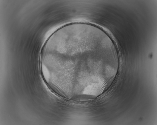 X0000114611295200912010928