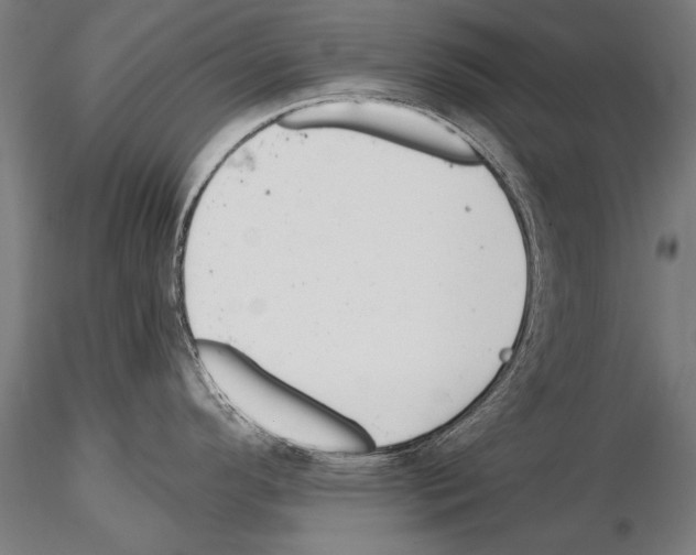 X0000114611296200912010928