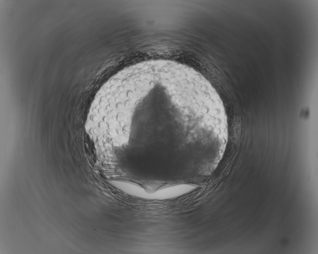 X0000114611297200912010927