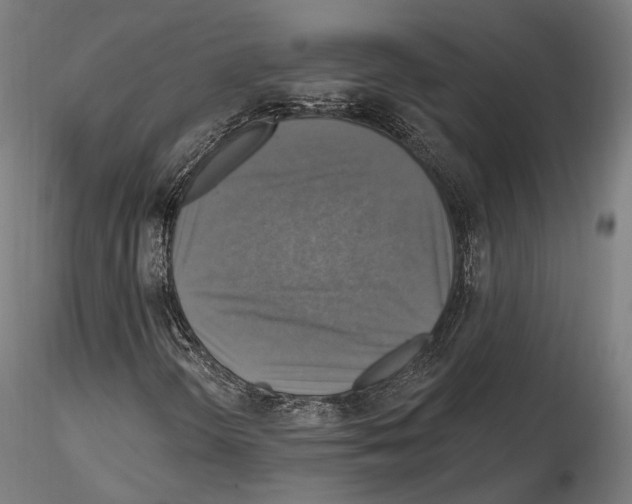 X0000114611298200912010927