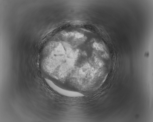 X0000114611301200912010928