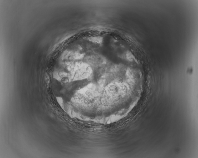 X0000114611302200912010928