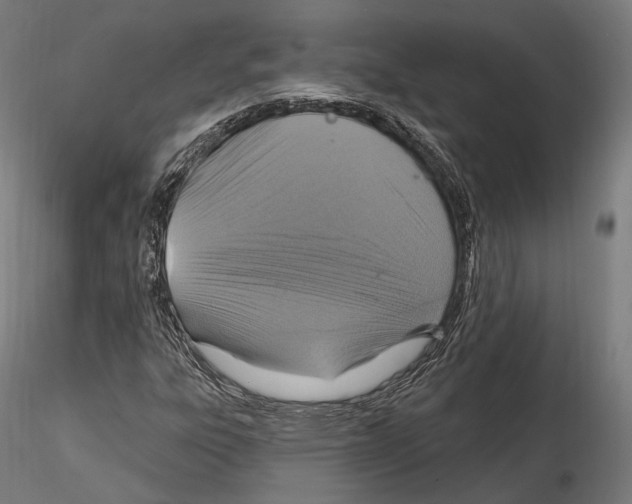 X0000114611303200912010928