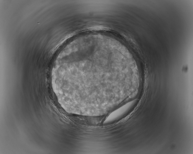 X0000114611305200912010928