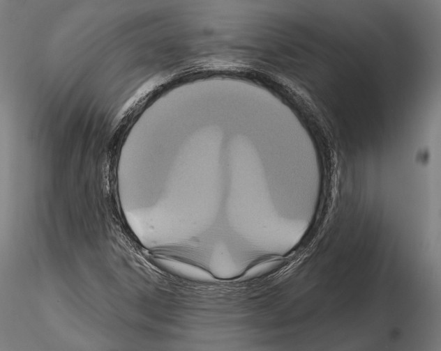 X0000114611306200912010928