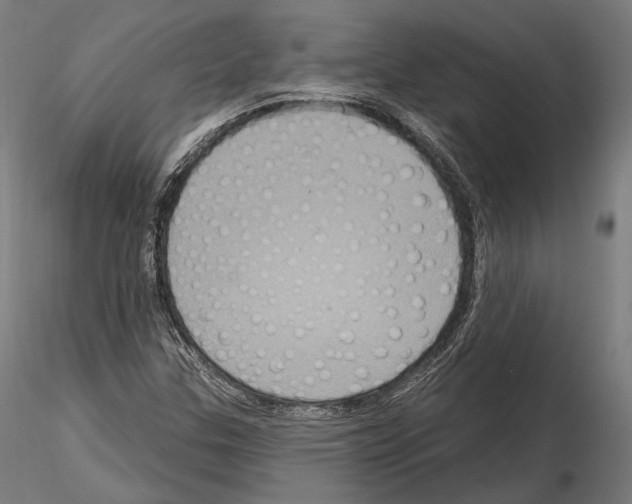 X0000114611307200912010928