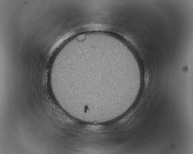 X0000114611309200912010928