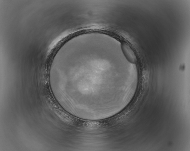 X0000114611310200912010928