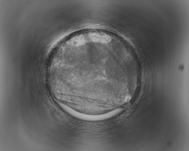 X0000114611311200912010928