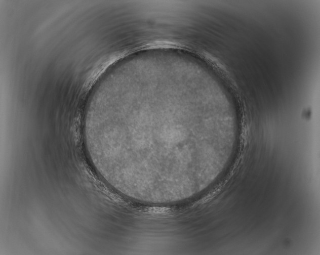 X0000114611313200912010928