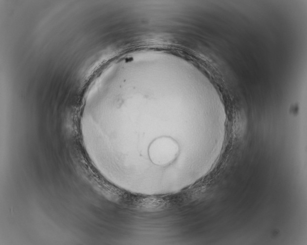 X0000114611314200912010928