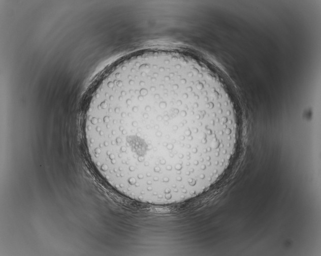 X0000114611315200912010928