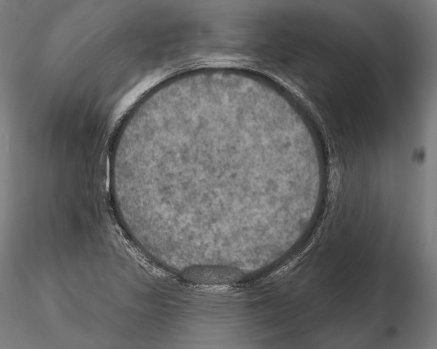 X0000114611317200912010928