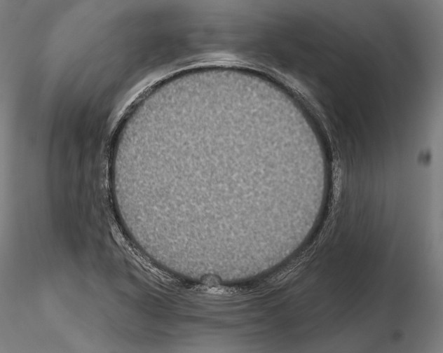 X0000114611318200912010928