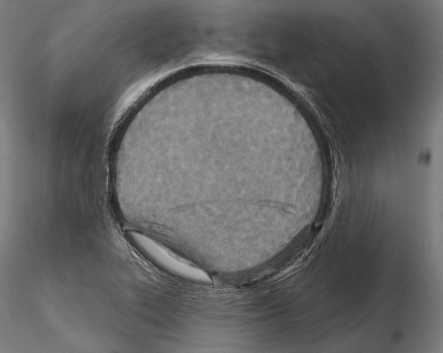 X0000114611319200912010928