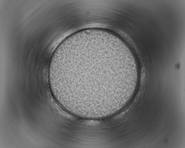 X0000114611321200912010928