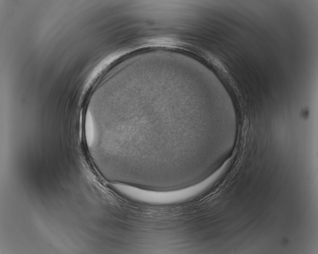 X0000114611323200912010928