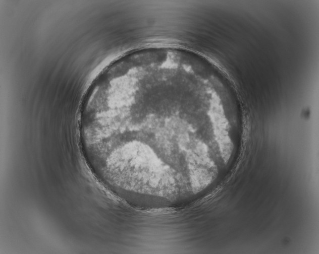 X0000114611325200912010928