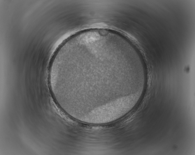 X0000114611326200912010928