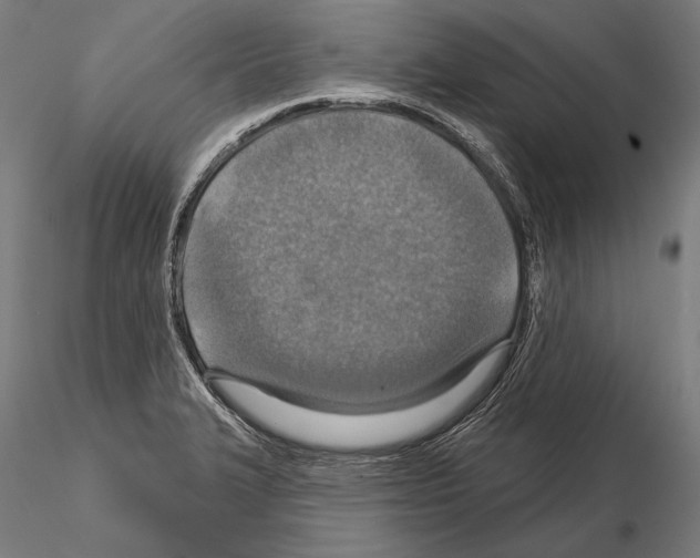 X0000114611327200912010928