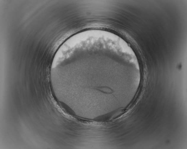 X0000114611329200912010928