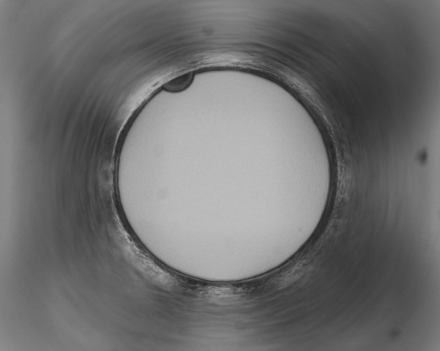 X0000114611330200912010928