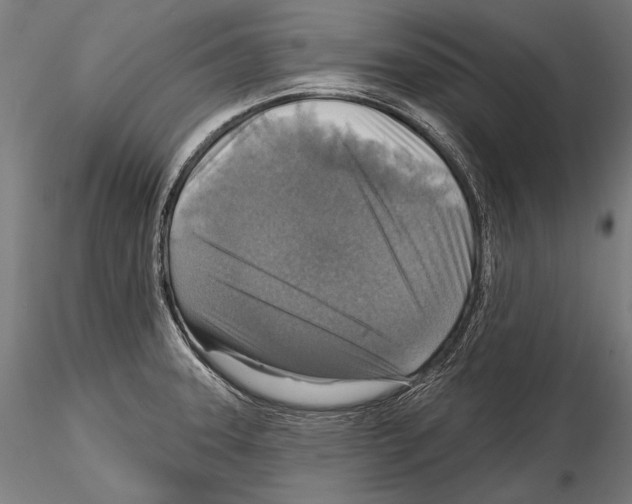 X0000114611331200912010928