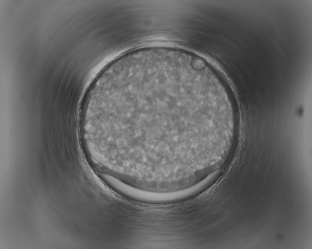 X0000114611333200912010928