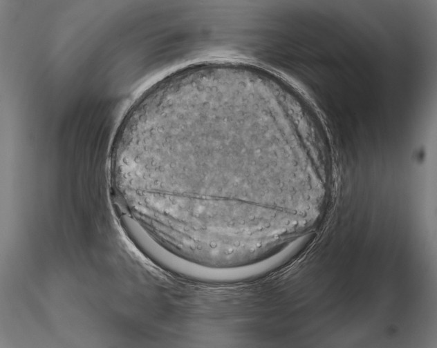 X0000114611335200912010928