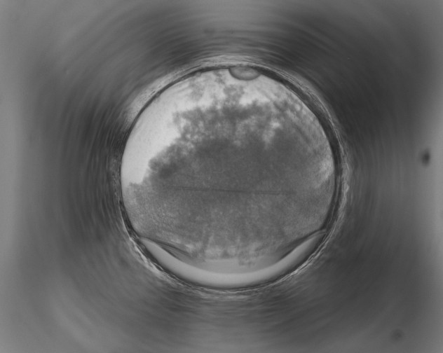 X0000114611337200912010928