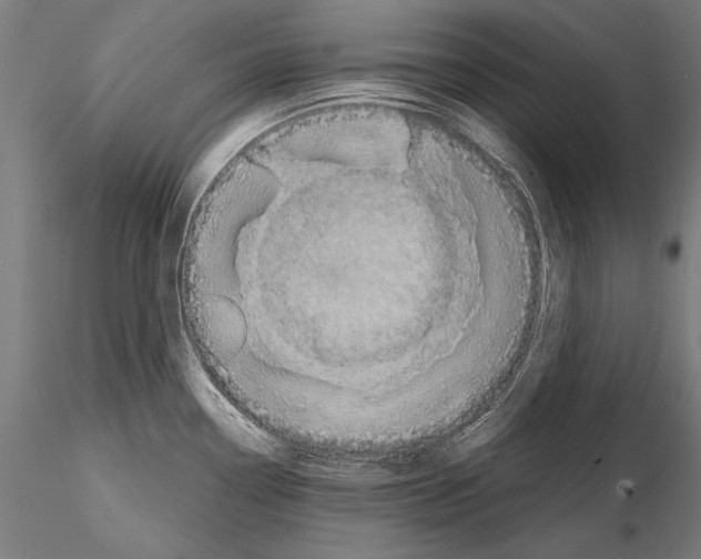 X0000114611338200912010928