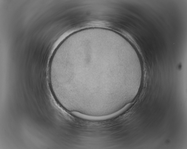 X0000114611339200912010928