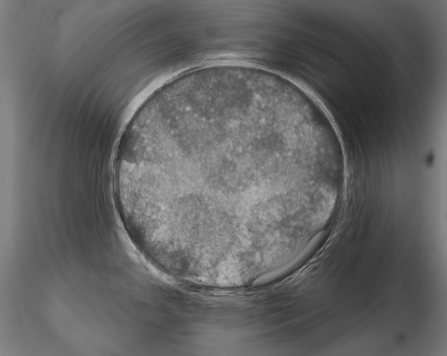 X0000114611341200912010928