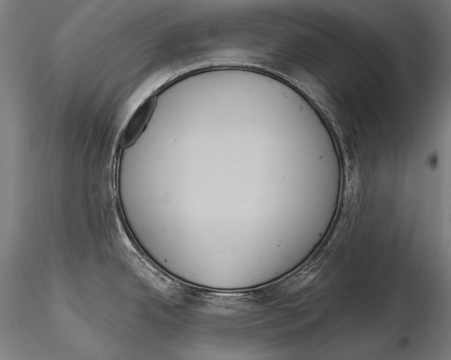 X0000114611342200912010928