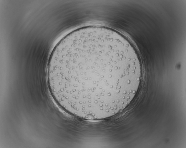 X0000114611343200912010928