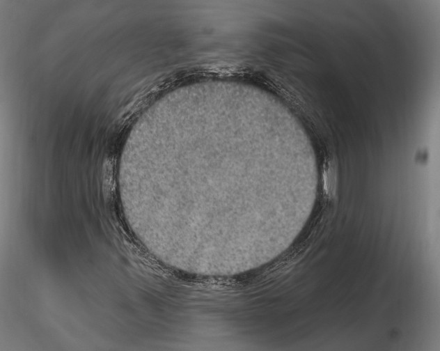 X0000114611347200912010927