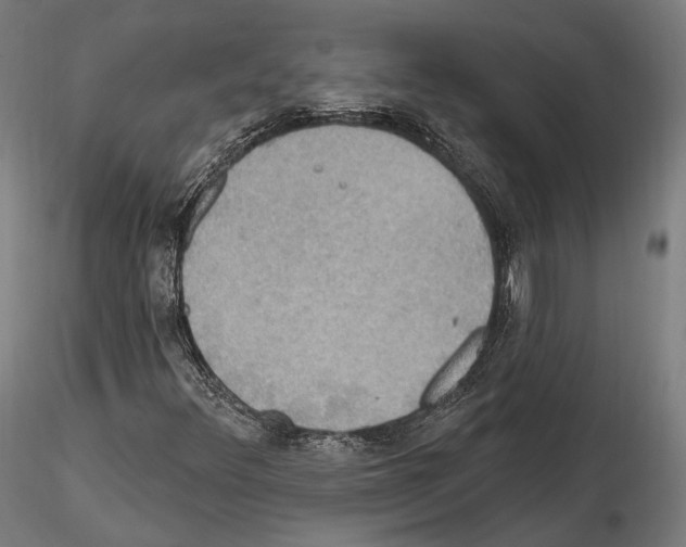 X0000114611348200912010927