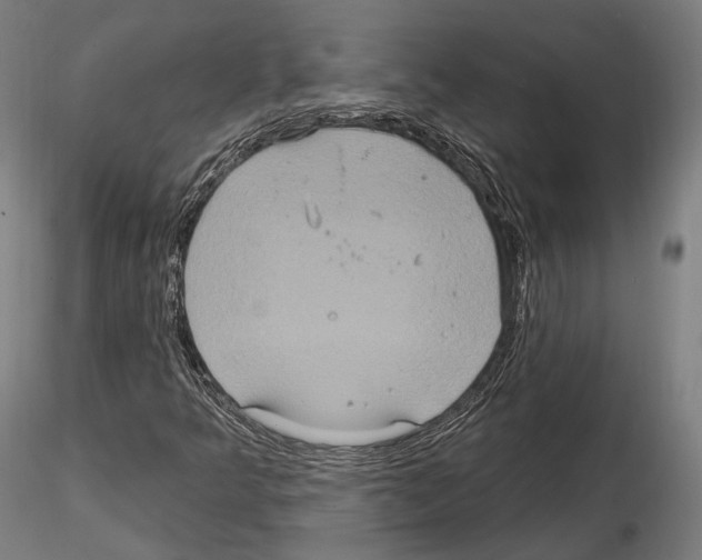 X0000114611349200912010927