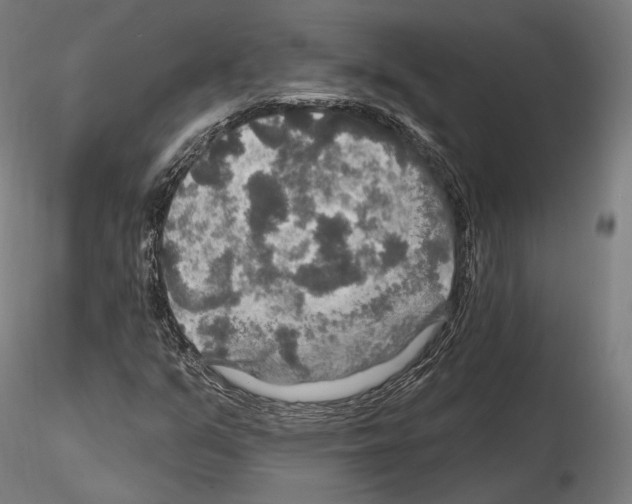 X0000114611351200912010927